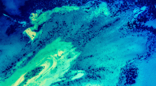 TMC Better Together header image